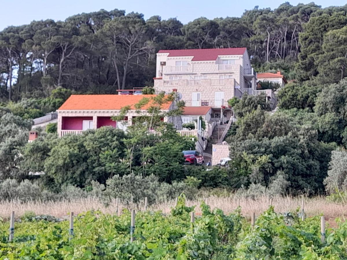 Villa Apartments Mate Cebalo Lumbarda Buitenkant foto