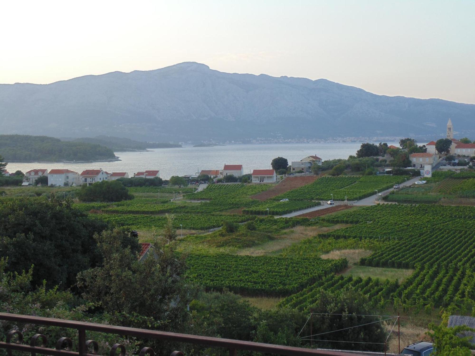 Villa Apartments Mate Cebalo Lumbarda Buitenkant foto
