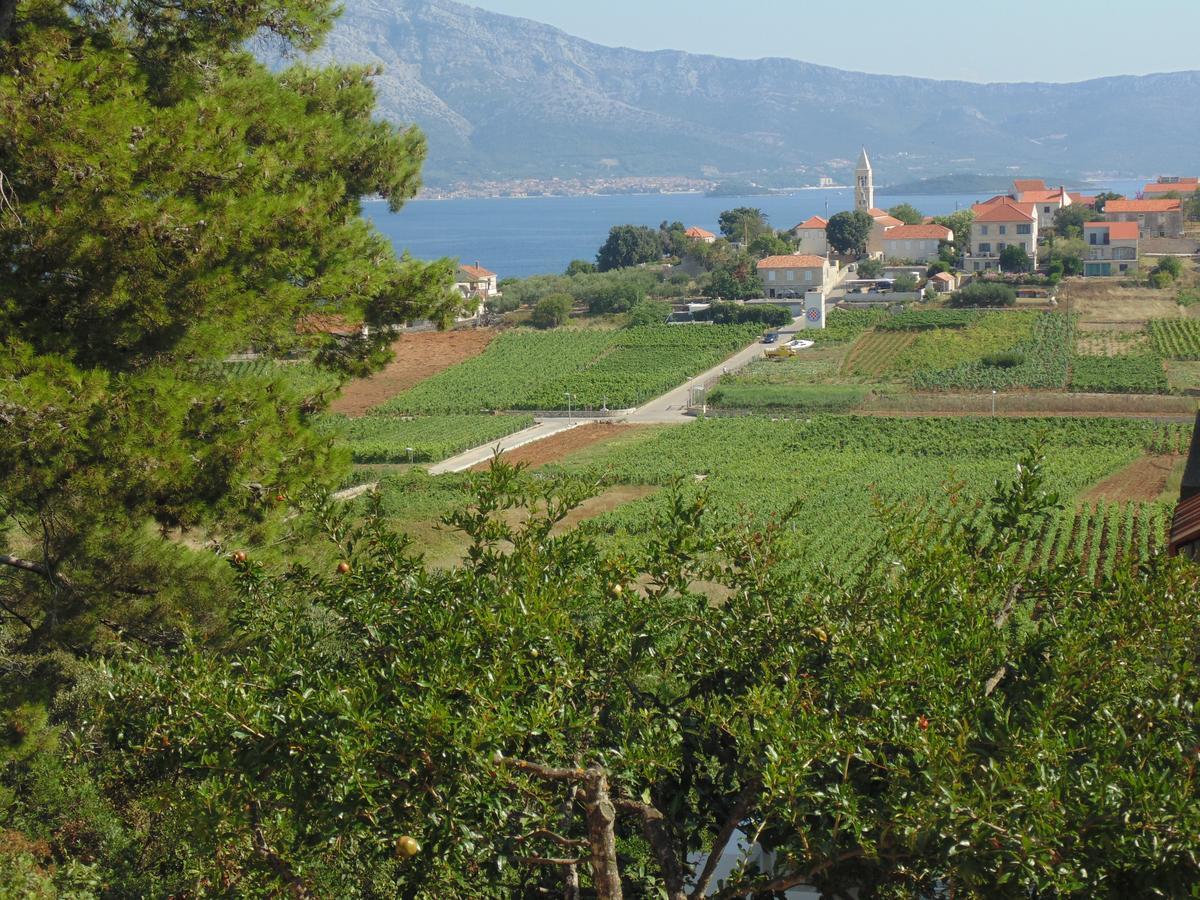 Villa Apartments Mate Cebalo Lumbarda Buitenkant foto